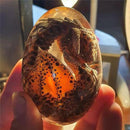 dinosaur egg, dinosaur eggs, dragon egg, lava crystal, dragon eggs,  sculpture, resin sculpture, souvenir gift, 