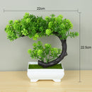 small bonsai tree, bonsai tree, bonsai trees, tree pot, potted trees, artificial plants, pots,