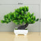 small bonsai tree, bonsai tree, bonsai trees, tree pot, potted trees, artificial plants, pots, 