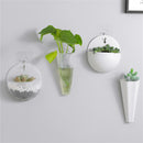 wall mount flower vase, flower vase, flower vases, wall hanging plants, plant wall hanger, test tube vase, pots, home decor,