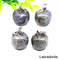 Healing Crystal Turquoise Quartz Apple Pendant Necklace
