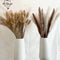 Fluffy Pampas Dried Flowers: Exquisite Bouquet for Home Decor