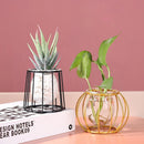 golden glass, gold glass vase, nordic vase, glass vase, Home Decor, hydroponic plants,