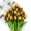 Tulip Flower Home and Wedding Decor: Elevate Your Space