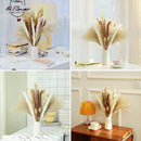 Fluffy Pampas Dried Flowers: Exquisite Bouquet for Home Decor