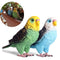 parrot, miniature ornament, simulation, parrot, mini ornaments, home decor,
