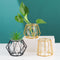 golden glass, gold glass vase, nordic vase, glass vase, Home Decor, hydroponic plants, black glass vase
