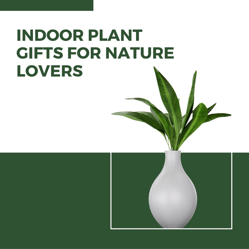 Green Delights |  Indoor Plant Gifts for Nature Lovers