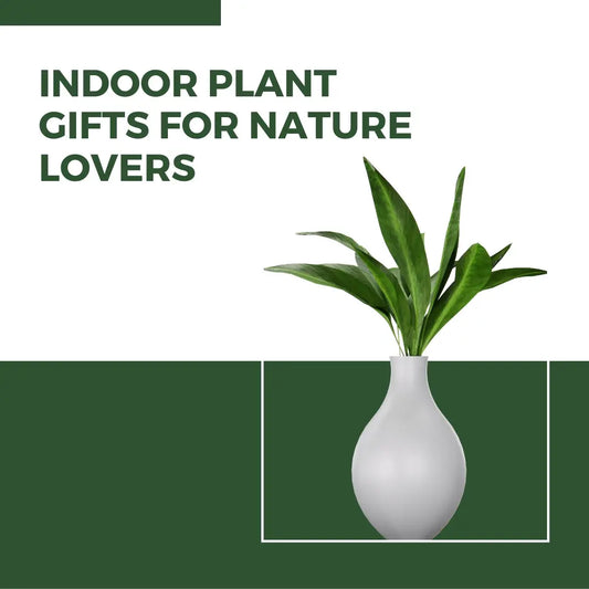 Green-Delights-Indoor-Plant-Gifts-for-Nature-Lovers Stylish Gift Decor