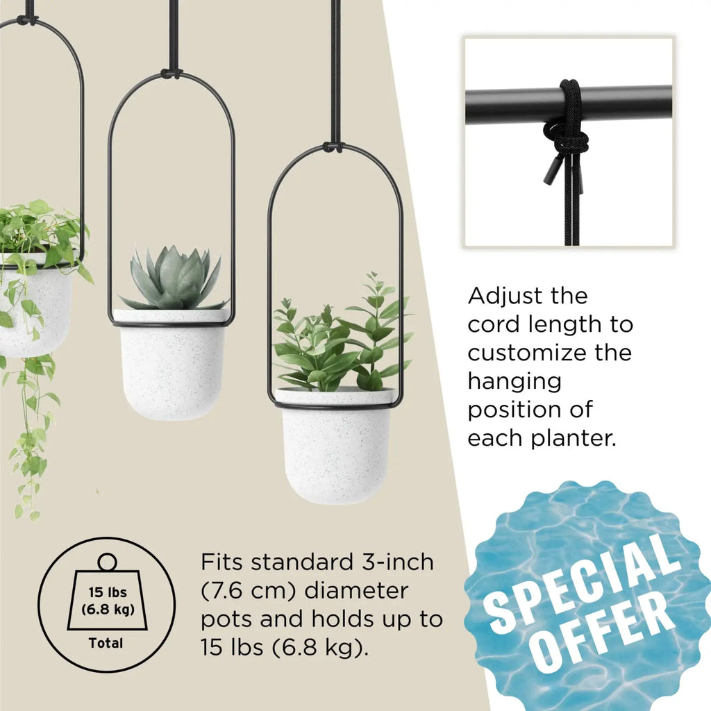 Triflora Hanging Planter for Window - Stylish Gift Decor