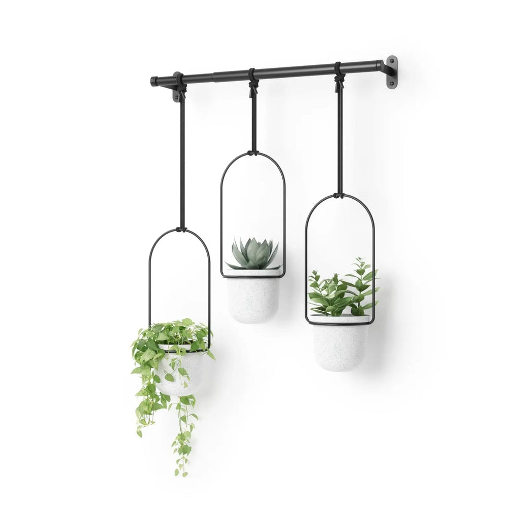 Triflora Hanging Planter for Window - Stylish Gift Decor