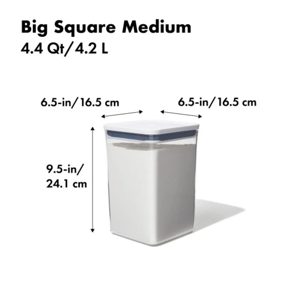 Good Grips POP Container Food Storage Stylish Gift Decor