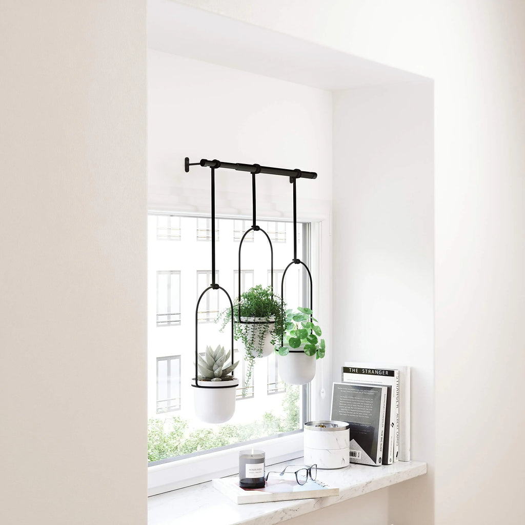 Triflora Hanging Planter for Window - Stylish Gift Decor