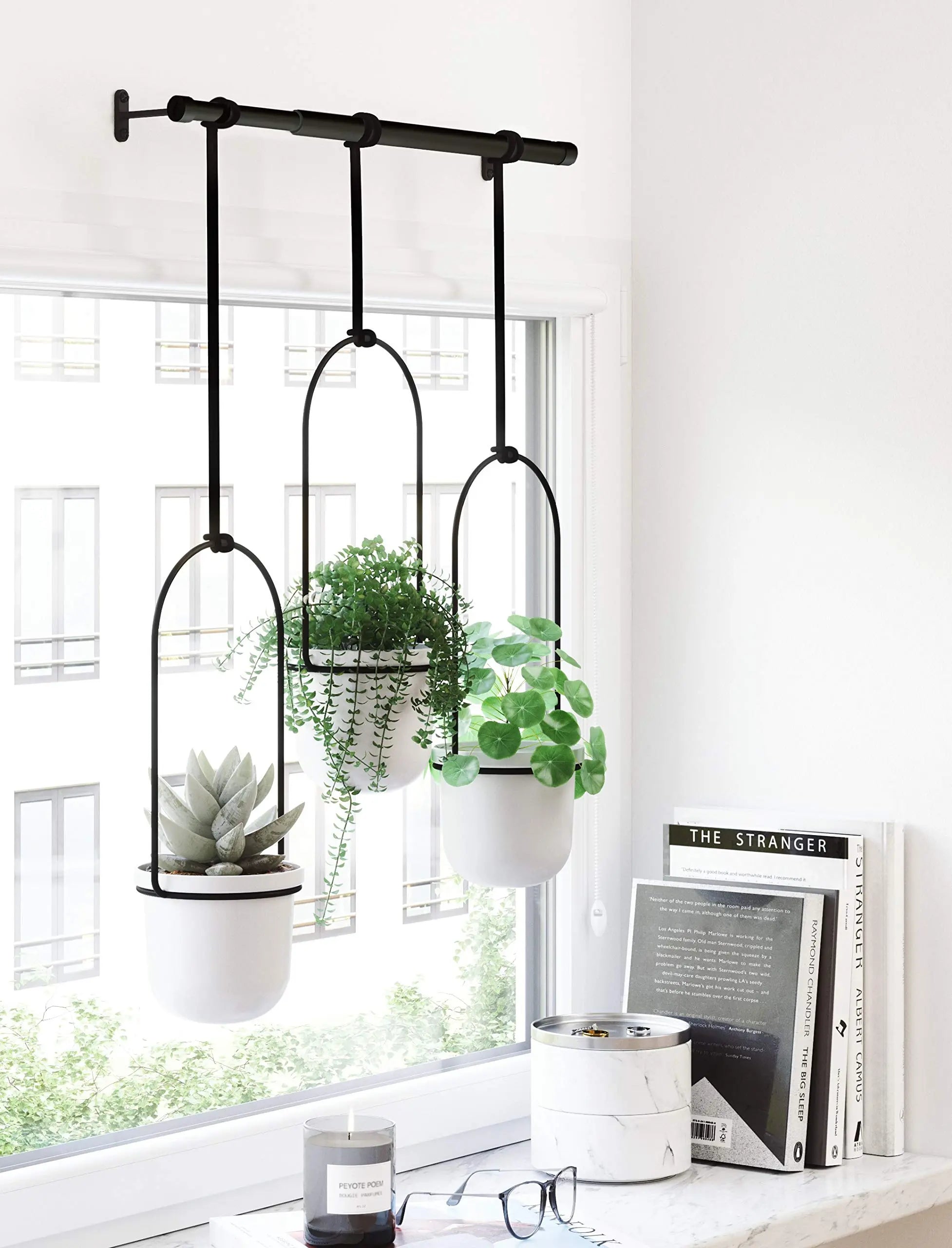 Triflora Hanging Planter for Window - Stylish Gift Decor