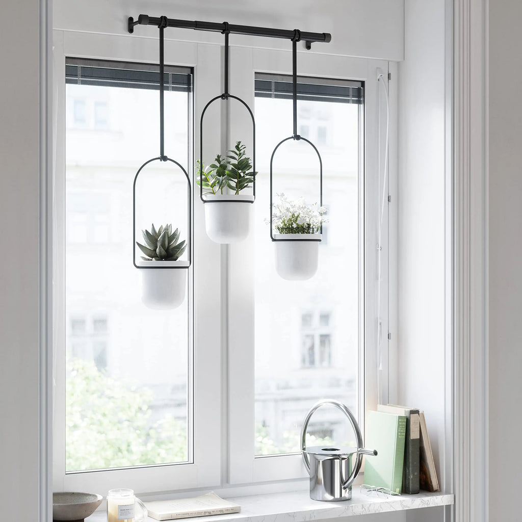 Triflora Hanging Planter for Window - Stylish Gift Decor