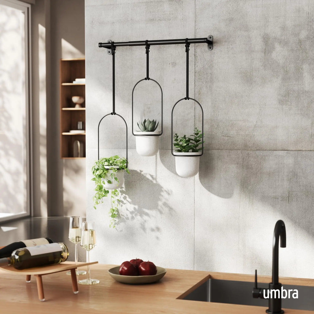 Triflora Hanging Planter for Window - Stylish Gift Decor