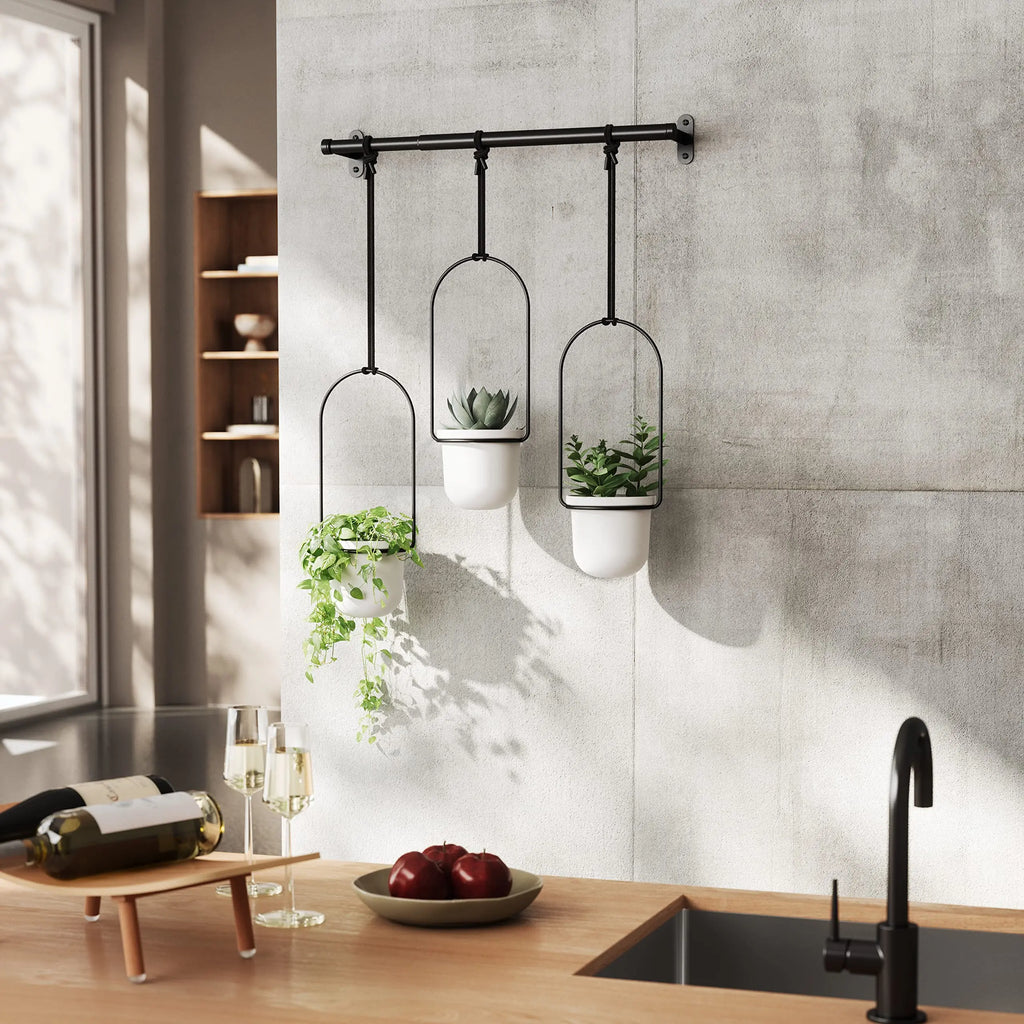Triflora Hanging Planter for Window - Stylish Gift Decor