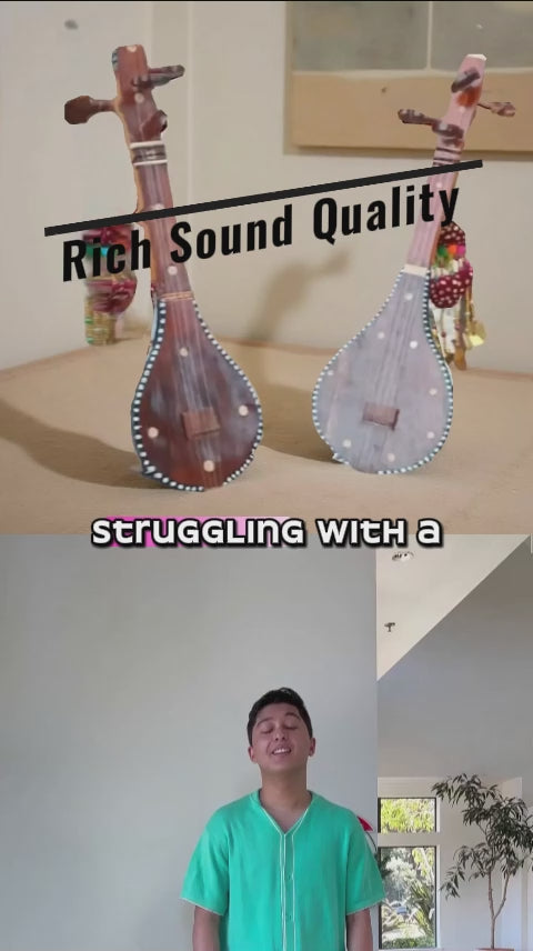 (Pack of 2 ) Handcrafted Premium String Instrument – Rich, Resonant Sound for All Skill Levels