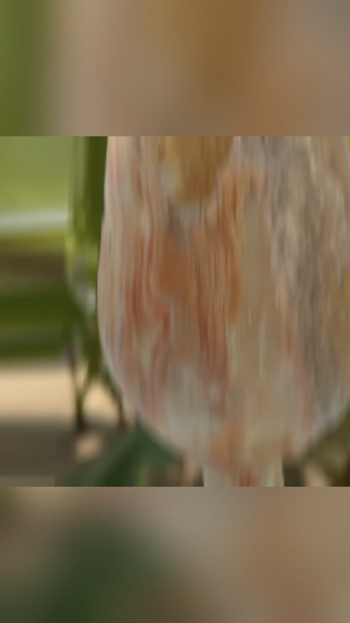 (Pack of 4) Elegant Marble-Inspired Glassware – Durable, Stylish & Versatile